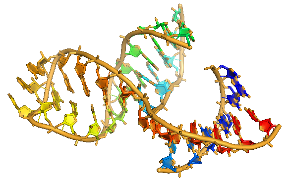 rna